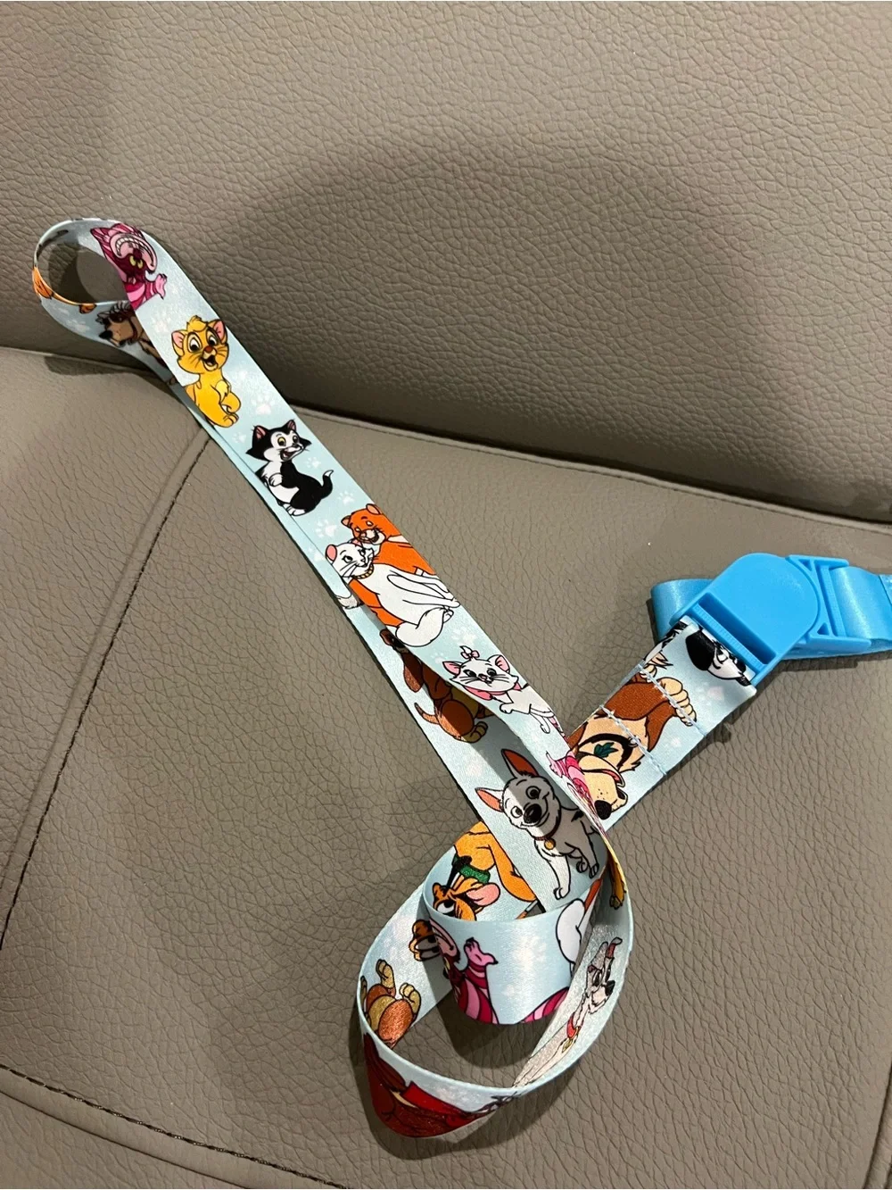 Disney official lanyards